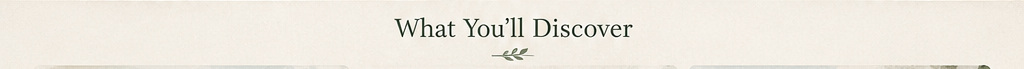 What you will discover